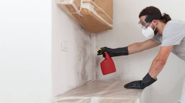 Professional Crawl Space Mold Removal technician working in Lewistown, PA