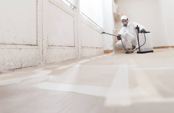 24/7 Emergency Crawl Space Mold Removal experts in Lewistown, PA